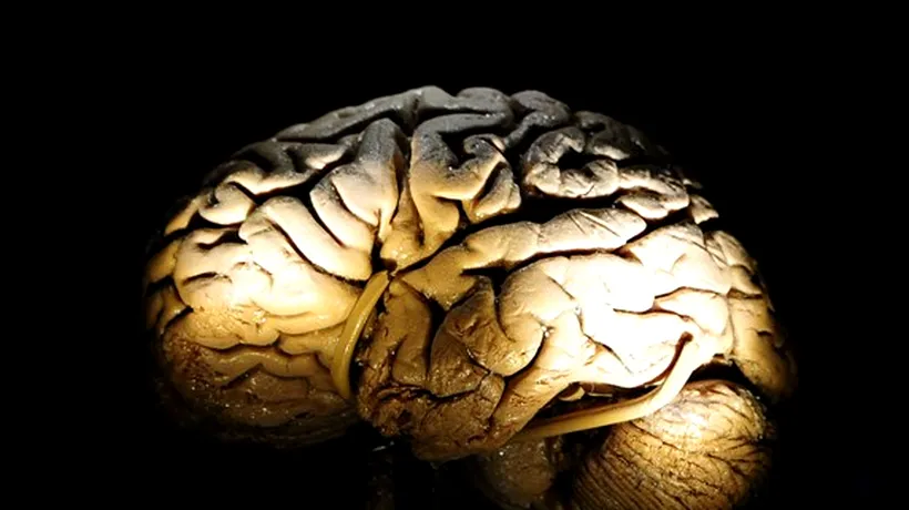 Cum este creierul afectat de dezvoltarea tehnologiei