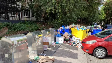 Orașul din România care crește taxa de gunoi cu 70% de la 1 ianuarie. Acești localnici vor plăti sute de lei în plus