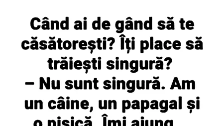 BANCUL ZILEI | Câinele, papagalul și pisica