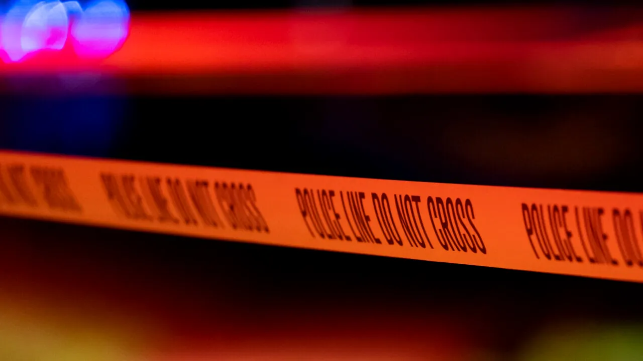 Descoperire fabuloasă în pivnița unui producător de vin din AUSTRIA. Are între 30.000 și 40.000 de ani vechime!