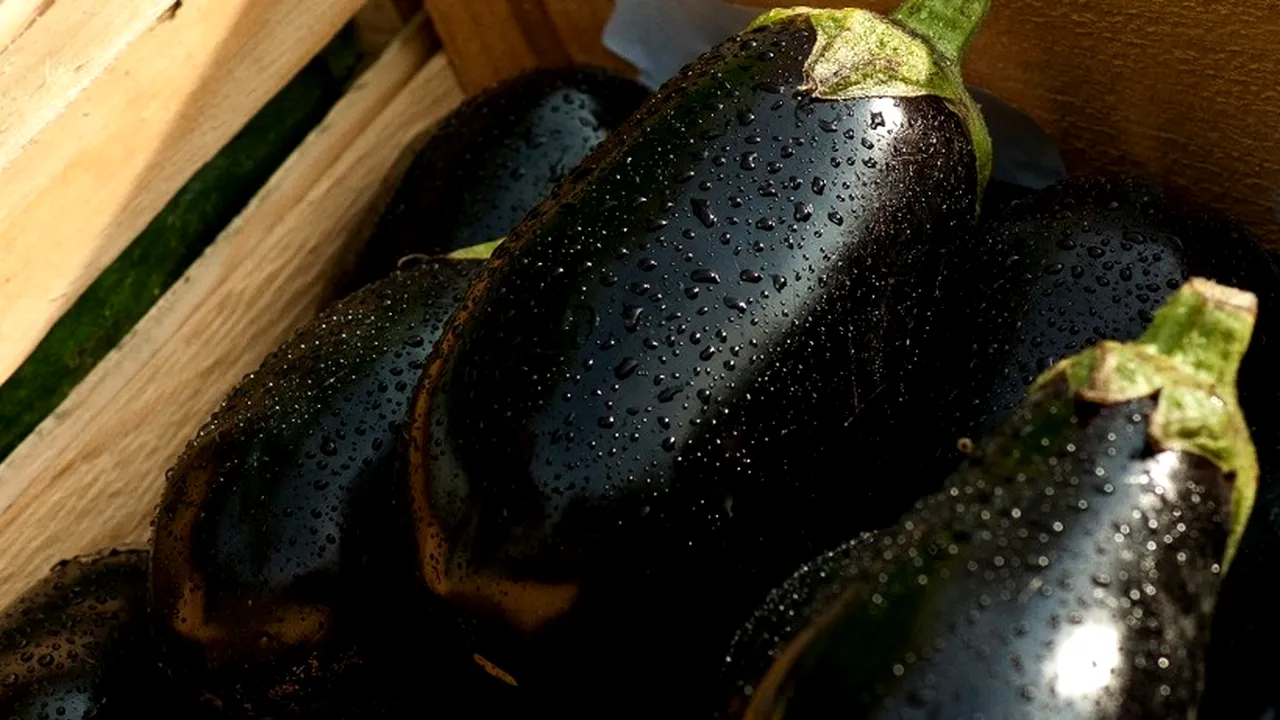 Gustul AMAR din vinete, coșmarul gospodinelor! Ponturi de la cei mai mari bucătari