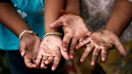 AVERTISMENT. COVID-19 poate expune milioane de copii la exploatare prin muncă