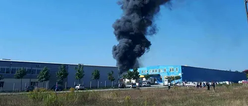 Incendiu puternic la fabrica de mobilă Dalin din Reghin 