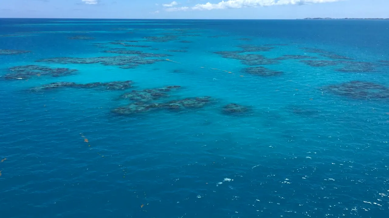 UE, cu „ochii” pe oceanele lumii. Ce este proiectul OceanEye, lansat de Comisia Europeană