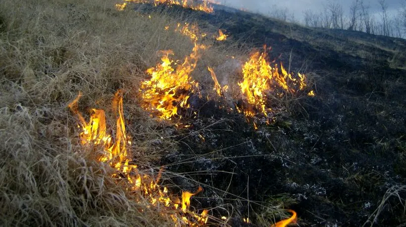 Aproximativ 25 de hectare de vegetație uscată au ars în incendiul din zona Cetății Histria