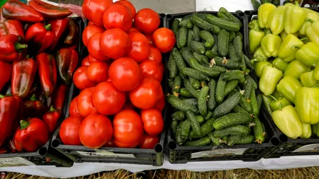 Cât a ajuns să coste 1 kg de roșii românești în piață, în martie 2025: „E chiar foarte scump!”