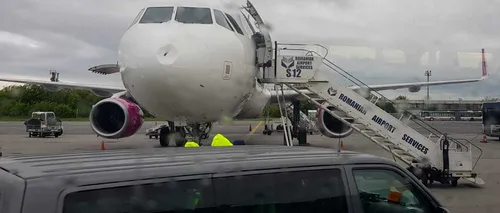 Un avion s-a întors pe aeroportul Henri Coandă din cauza impactului cu o pasăre