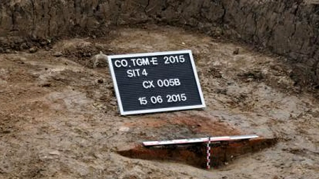 Lucrau în apropiere de Târgu Mureș, când au făcut descoperirea vieții lor. Oamenii de știință cercetează acum zona