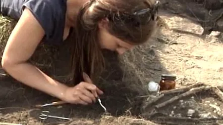 Paleontologii au descoperit fosilele perfect conservate ale unui Chasmosaurus, „cel mai simpatic dinozaur