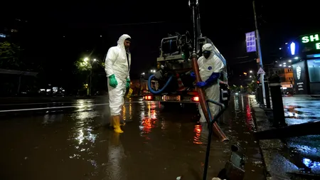 Ciclonul Barbara a cauzat PAGUBE semnificative în București și în județul Ilfov: Copaci căzuți și mai multe autoturisme afectate