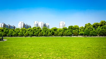 (P) Asociația BREC propune administrațiilor din București o dezbatere publică asupra spațiilor verzi