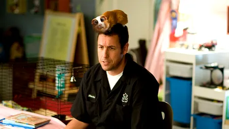 Topul celor mai proști actori de la Hollywood