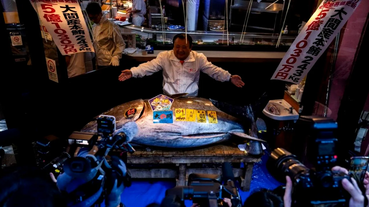 A plătit 3,2 milioane de dolari pentru un ton roșu uriaș, la licitația de pește de la Tokyo