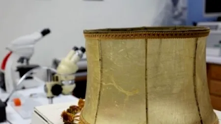 „Aș face lămpi din pielea lor