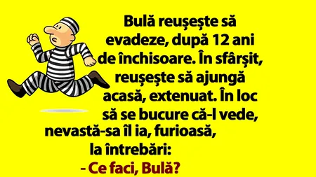 BANC | Bulă reușește să evadeze, după 12 ani de închisoare