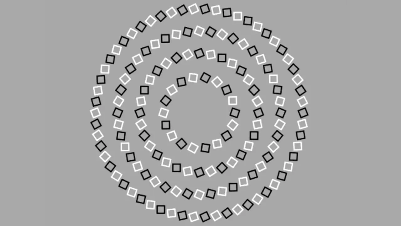 Iluzie optică virală | Câte cercuri sunt, în total? GENIILE dau răspunsul corect în 5 secunde