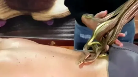 Masaj cu șerpi, pentru relaxare și calmarea durerilor musculare și articulare! Cât costă o ședință și unde se poate face (VIDEO)