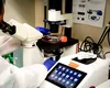 CALUL TROIAN, o nouă abordare în lupta împotriva cancerului. Când va fi disponibil tratamentul revoluționar pentru bolnavii oncologici
