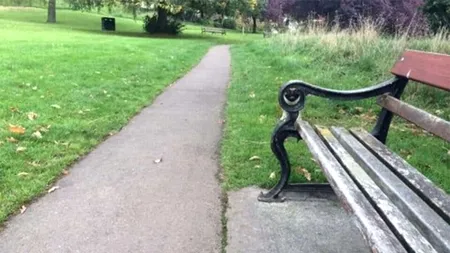 Iluzie optică virală | GĂSIȚI câinele ascuns în parc! 9 din 10 oameni renunță după 9 secunde