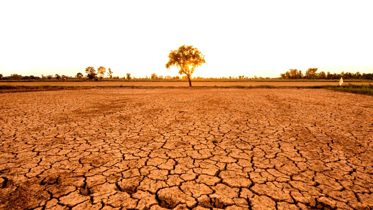 Agricultura românească este sub semnul secetei. Zonele în care arșița ajunge să afecteze culturi întregi