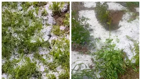 Furtuni puternice au făcut prăpăd în mai multe județe din țară. A plouat cu grindină, iar vântul puternic a rupt copaci și a smuls acoperișuri