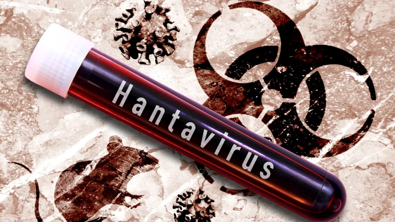 Reacția OMS după focarul de hantavirus care a ucis 3 persoane pe o navă de croazieră în Atlantic: 