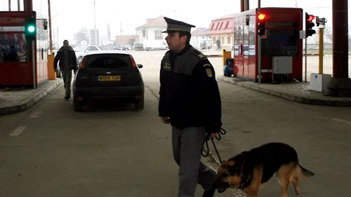 Un câine al polițiștilor din Calafat a găsit peste 7,7 kilograme de cannabis într-o mașină