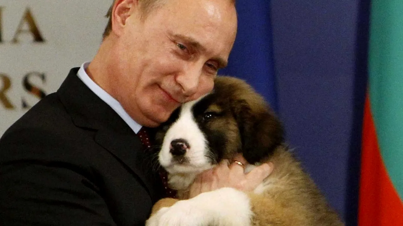 Împins în corzi, Vladimir Putin „a devenit mai periculos