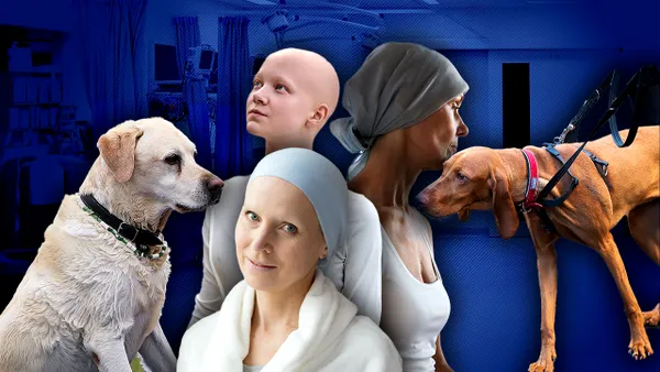 Câinii pot lua urma cancerului, arată cele mai recente studii. Potrivit cercetătorilor americani, patrupezii pot detecta boala cu ajutorul mirosurilor specifice lăsate de diferite tipuri de cancer