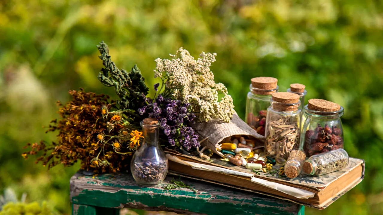 Planta care calmează și înlătură astenia de toamnă. 