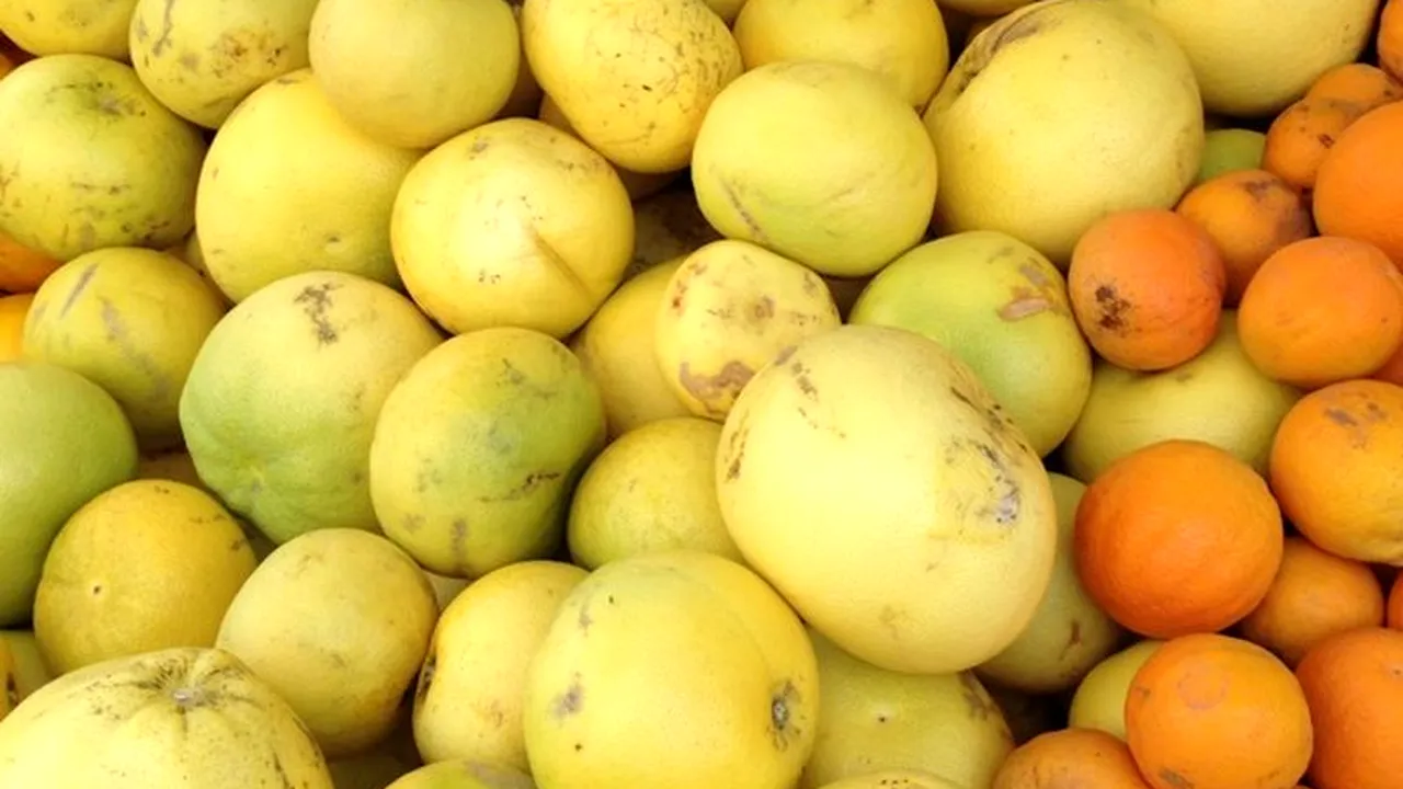 Ministrul Agriculturii: 