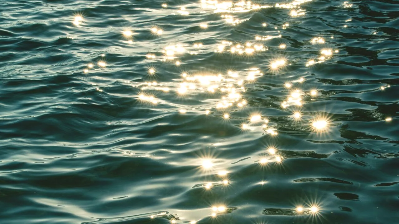 Animalul care merge pe apă ca IISUS Hristos. Cum explică știința acest fenomen spectaculos