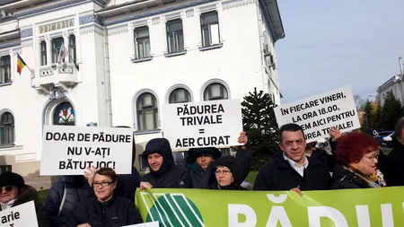 Pădurea Trivale din Pitești, în PERICOL să fie betonată și transformată în parc. Ministrul Justiției, anunț IMPORTANT despre soarta acestui loc