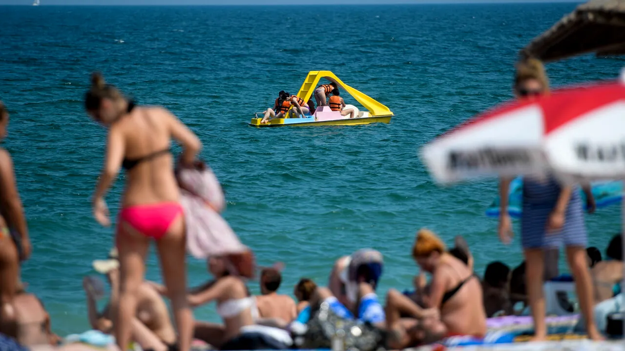 Cum scot comercianții profit la mare cu hamsia prăjită. Turiștilor le este vândut un pește asemănător, dar mai ieftin