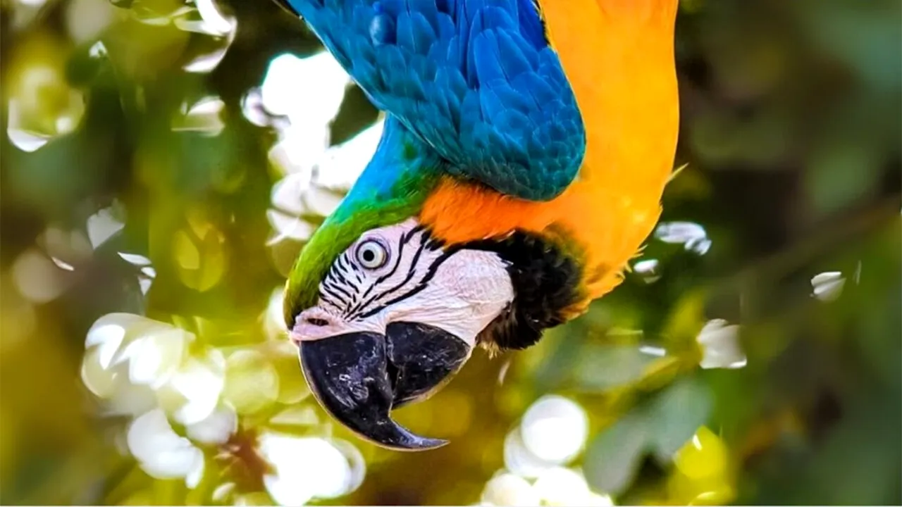 Test de inteligență | Doar un geniu poate vedea sticla din această iluzie optică virală