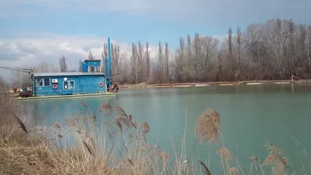 La doar 20 de kilometri de praful Bucureștiului, stau ascunse specii rare de floră și faună, protejate la nivel european. Cum le puteți găsi