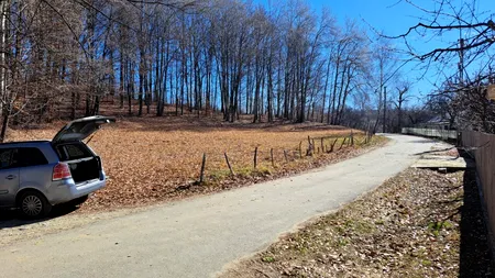 Anunțul meteorologilor despre începutul iernii 2025: va fi mai CALD decât în mod normal. Zonele unde sunt anunțate precipitații numeroase