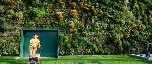 Record Guinness: Cea mai mare grădină verticală din lume, amenajată pe fațada unui centru comercial