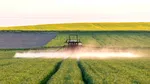 Veste pentru fermieri. APIA a început să elibereze adeverințele pentru subvenții. Cine se încadrează