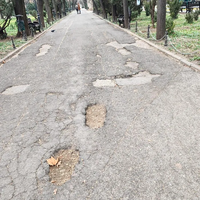 Sebastian Burduja: „Parcul Cișmigiu nu a arătata niciodată atât de rău” / Sursa foto: Facebook