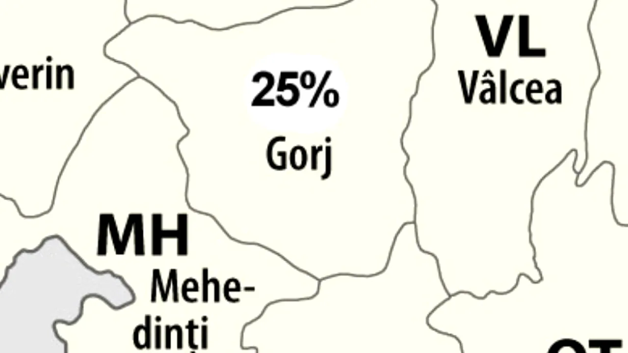 REZULTATE BACALAUREAT 2012. Doar 25% dintre elevii din Gorj au promovat