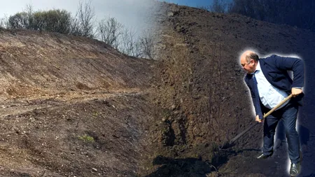 Primarul Costinel Stoica din Drăgășani a împădurit o râpă cu magnolii. Alegătorii au avut nevoie de o zi să le fure