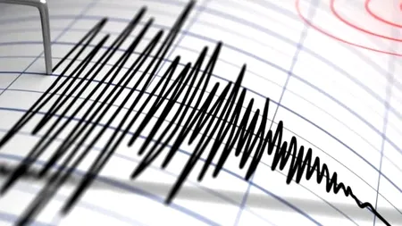 SEISM. Cutremur de 3,5 grade în zona Vrancea