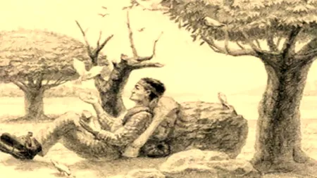 Iluzie optică virală | Ești un geniu dacă poți găsi calul ascuns în această fotografie