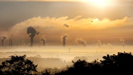 Cum putem reduce AMPRENTA de carbon în preajma Sărbătorilor Pascale?