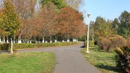 Descoperire macabră în cel mai mare parc din Constanța