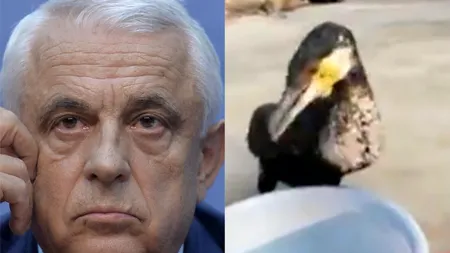 PRIVIȚI-L! Daea a prins CORMORANII în fapt și prezintă DOVEZI VIDEO pe Facebook