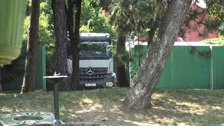 „MAFIA GUNOAIELOR”, sub ancheta procurorilor! Compania municipală „Parcuri și Grădini” și firma unui cunoscut multimilionar, denunțate penal pentru crime împotriva mediului! (FILMĂRI SENZAȚIONALE)