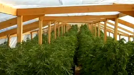 Adolescentă americană ținută în cușcă și abuzată sexual