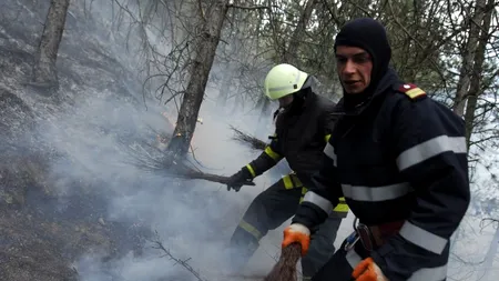 Alba: Peste 15 hectare de pădure, cuprinse de un incendiu puternic, în Munții Șureanu